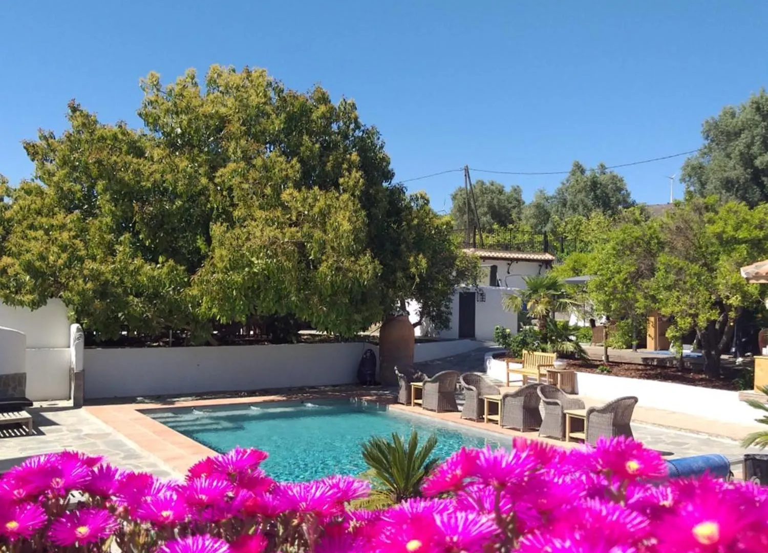 El Violin Experiencia Adults Only Bed & Breakfast Melegis